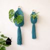 blauwe macrame plantenbuidels aan een lichte muur