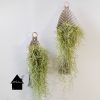 2 macrame plantenbuidels